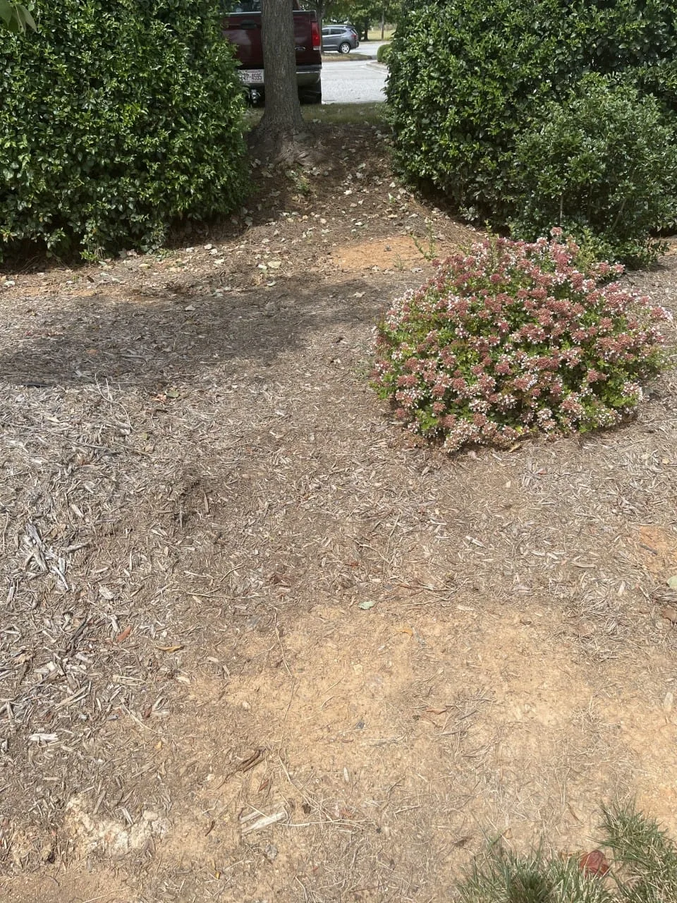 Paver walkway, before