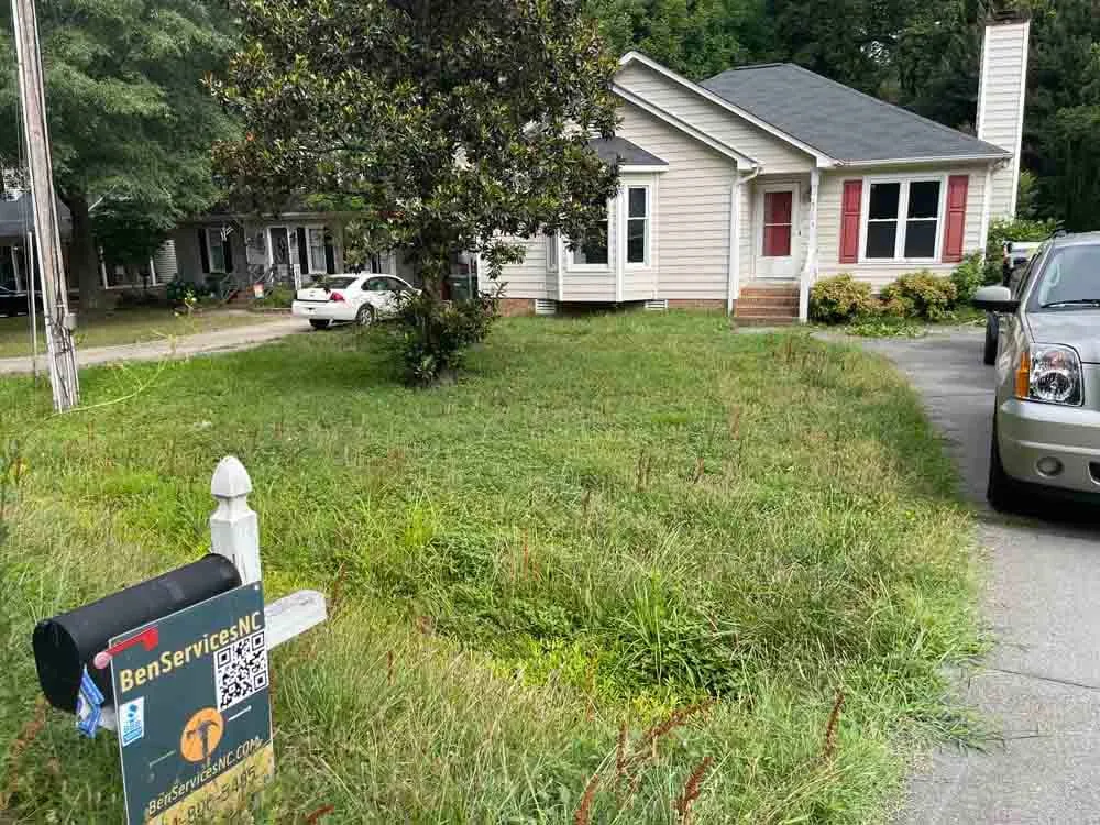 Overgrown yard, before