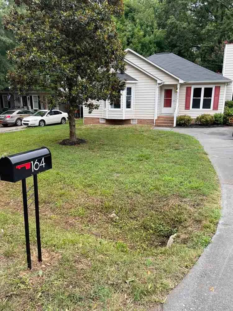Freshly maintained yard, after